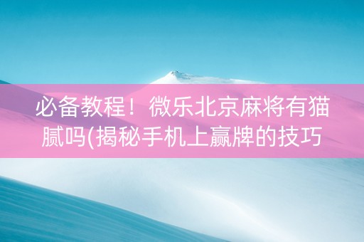 必备教程！微乐北京麻将有猫腻吗(揭秘手机上赢牌的技巧)