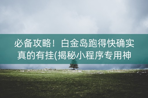 必备攻略！白金岛跑得快确实真的有挂(揭秘小程序专用神器下载)