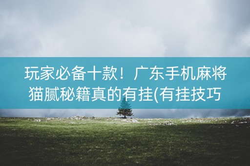 玩家必备十款！广东手机麻将猫腻秘籍真的有挂(有挂技巧辅助器)