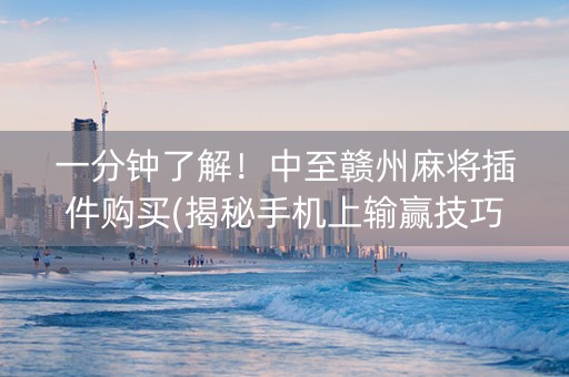 一分钟了解！中至赣州麻将插件购买(揭秘手机上输赢技巧)