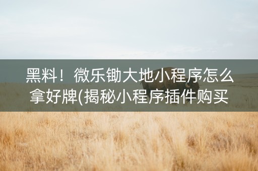 黑料！微乐锄大地小程序怎么拿好牌(揭秘小程序插件购买)