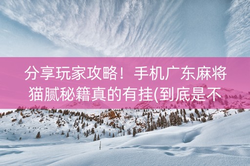 分享玩家攻略！手机广东麻将猫腻秘籍真的有挂(到底是不是有挂)