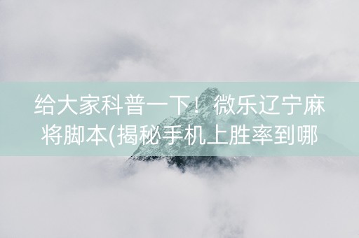给大家科普一下！微乐辽宁麻将脚本(揭秘手机上胜率到哪调)