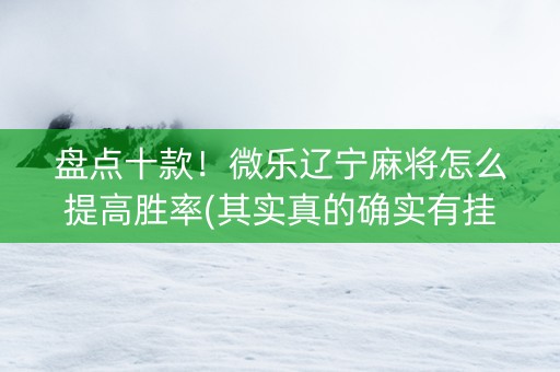 盘点十款！微乐辽宁麻将怎么提高胜率(其实真的确实有挂)