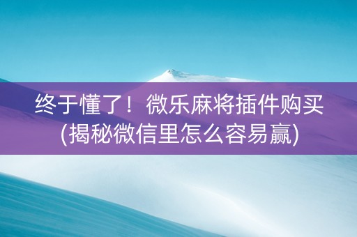 终于懂了！微乐麻将插件购买(揭秘微信里怎么容易赢)