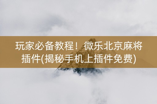 玩家必备教程！微乐北京麻将插件(揭秘手机上插件免费)