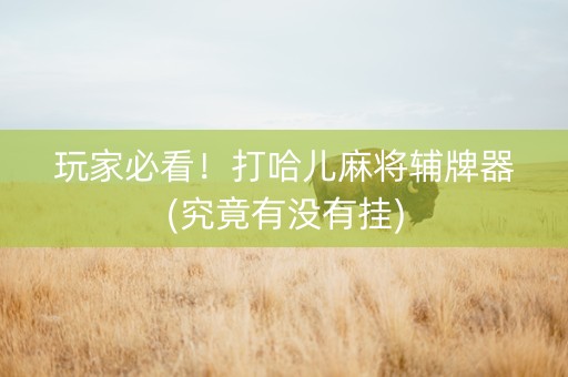 玩家必看！打哈儿麻将辅牌器(究竟有没有挂)