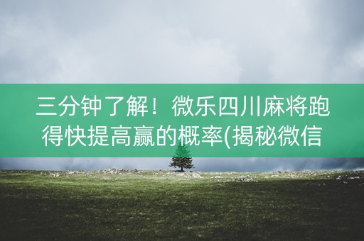 三分钟了解！微乐四川麻将跑得快提高赢的概率(揭秘微信里专用神器)