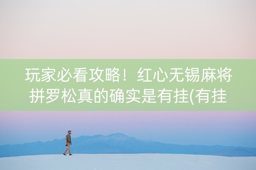 玩家必看攻略！红心无锡麻将拼罗松真的确实是有挂(有挂技巧辅助器)