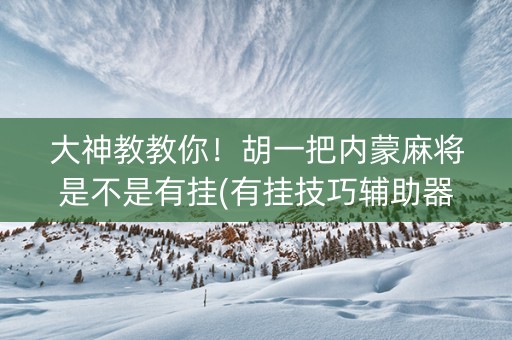 大神教教你！胡一把内蒙麻将是不是有挂(有挂技巧辅助器)