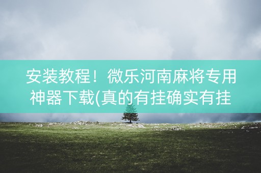 安装教程！微乐河南麻将专用神器下载(真的有挂确实有挂)