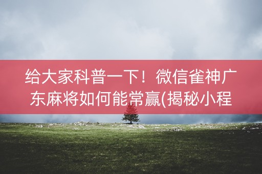 给大家科普一下！微信雀神广东麻将如何能常赢(揭秘小程序如何让牌变好)