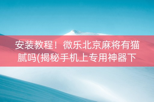 安装教程！微乐北京麻将有猫腻吗(揭秘手机上专用神器下载)