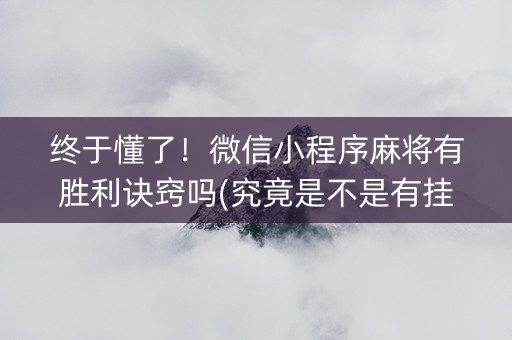 终于懂了！微信小程序麻将有胜利诀窍吗(究竟是不是有挂)