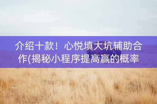 介绍十款！心悦填大坑辅助合作(揭秘小程序提高赢的概率)