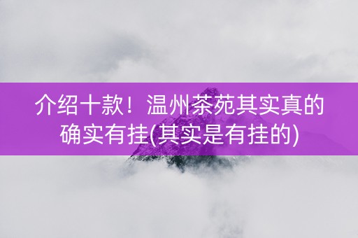 介绍十款！温州茶苑其实真的确实有挂(其实是有挂的)