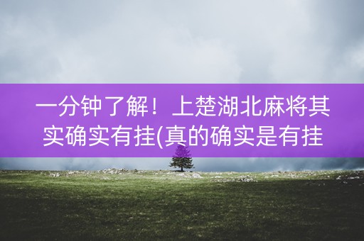 一分钟了解！上楚湖北麻将其实确实有挂(真的确实是有挂)