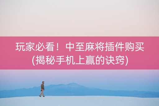 玩家必看！中至麻将插件购买(揭秘手机上赢的诀窍)