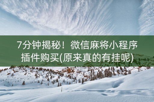 7分钟揭秘！微信麻将小程序插件购买(原来真的有挂呢)