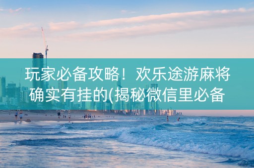 玩家必备攻略！欢乐途游麻将确实有挂的(揭秘微信里必备神器)