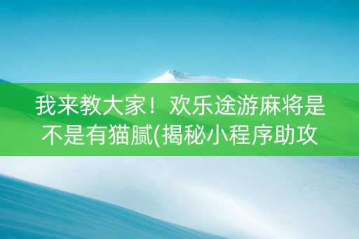我来教大家！欢乐途游麻将是不是有猫腻(揭秘小程序助攻神器)