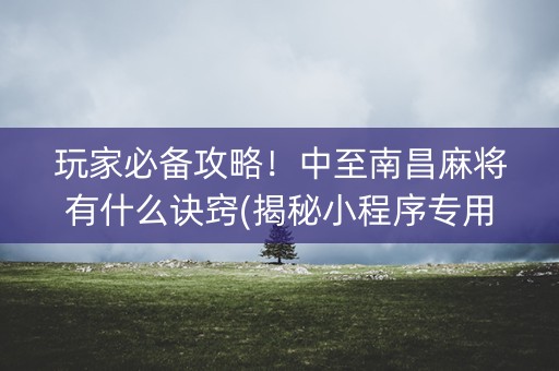 玩家必备攻略！中至南昌麻将有什么诀窍(揭秘小程序专用神器)
