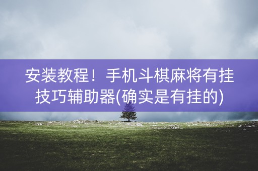 安装教程！手机斗棋麻将有挂技巧辅助器(确实是有挂的)