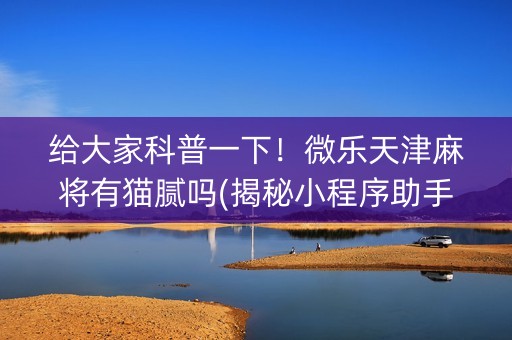 给大家科普一下！微乐天津麻将有猫腻吗(揭秘小程序助手软件)
