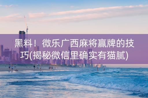 黑料！微乐广西麻将赢牌的技巧(揭秘微信里确实有猫腻)