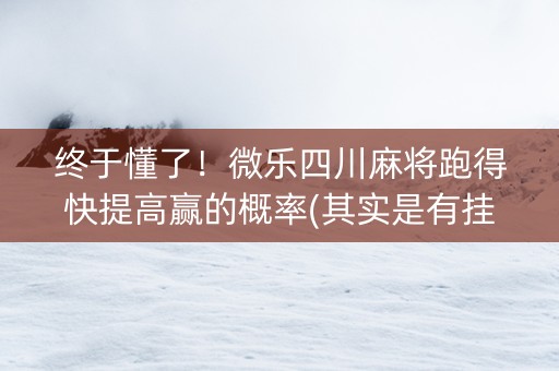 终于懂了！微乐四川麻将跑得快提高赢的概率(其实是有挂确实有挂)