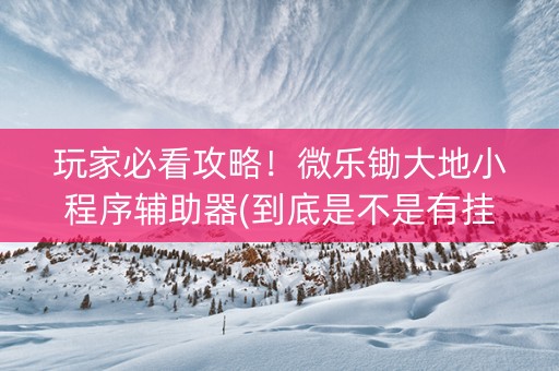 玩家必看攻略！微乐锄大地小程序辅助器(到底是不是有挂)