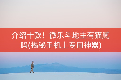 介绍十款！微乐斗地主有猫腻吗(揭秘手机上专用神器)