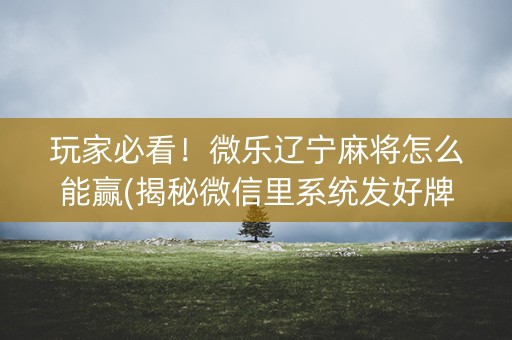 玩家必看！微乐辽宁麻将怎么能赢(揭秘微信里系统发好牌)