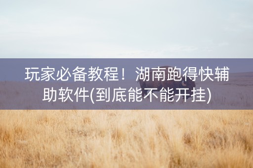 玩家必备教程！湖南跑得快辅助软件(到底能不能开挂)