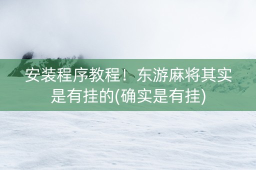 安装程序教程！东游麻将其实是有挂的(确实是有挂)