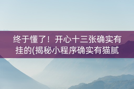 终于懂了！开心十三张确实有挂的(揭秘小程序确实有猫腻)