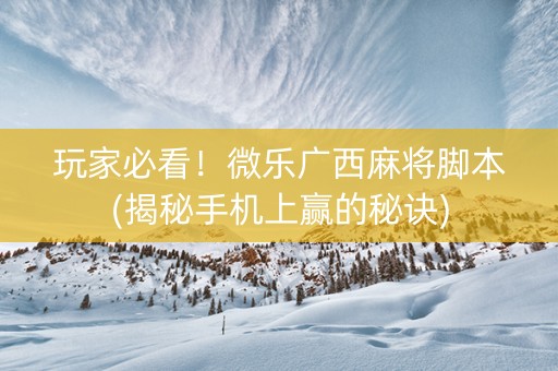 玩家必看！微乐广西麻将脚本(揭秘手机上赢的秘诀)