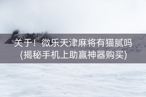关于！微乐天津麻将有猫腻吗(揭秘手机上助赢神器购买)
