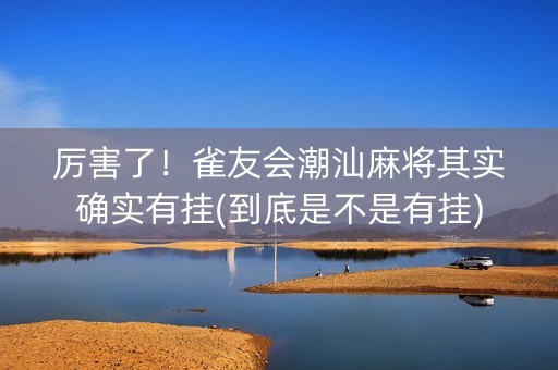 厉害了！雀友会潮汕麻将其实确实有挂(到底是不是有挂)