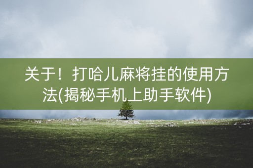 关于！打哈儿麻将挂的使用方法(揭秘手机上助手软件)