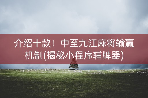 介绍十款！中至九江麻将输赢机制(揭秘小程序辅牌器)