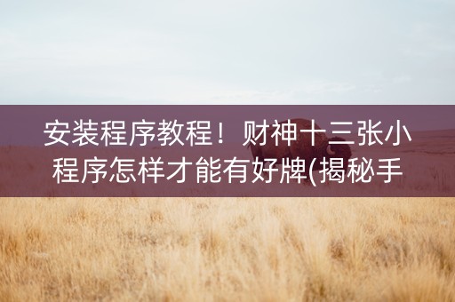 安装程序教程！财神十三张小程序怎样才能有好牌(揭秘手机上胜率到哪调)