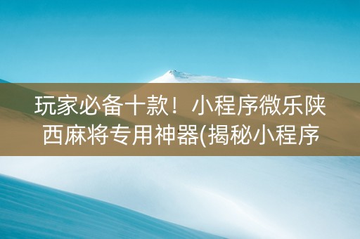玩家必备十款！小程序微乐陕西麻将专用神器(揭秘小程序助赢神器)