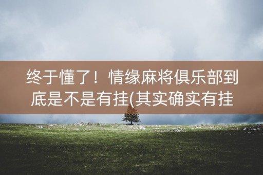 终于懂了！情缘麻将俱乐部到底是不是有挂(其实确实有挂)