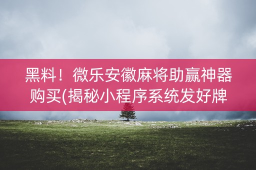 黑料！微乐安徽麻将助赢神器购买(揭秘小程序系统发好牌)