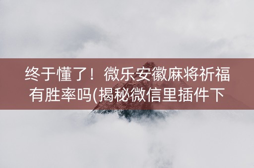 终于懂了！微乐安徽麻将祈福有胜率吗(揭秘微信里插件下载)