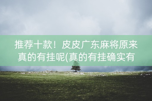 推荐十款！皮皮广东麻将原来真的有挂呢(真的有挂确实有挂)