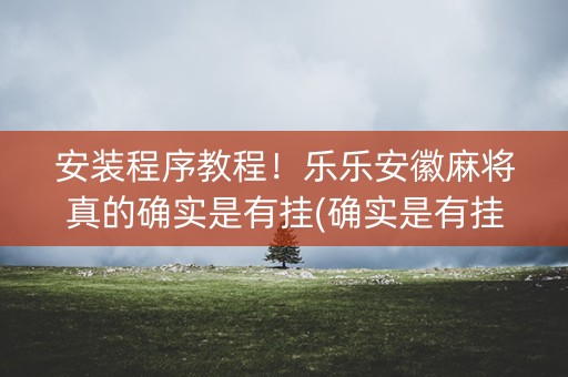 安装程序教程！乐乐安徽麻将真的确实是有挂(确实是有挂)