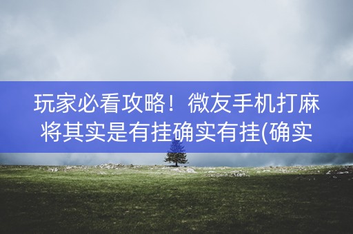 玩家必看攻略！微友手机打麻将其实是有挂确实有挂(确实是有挂)