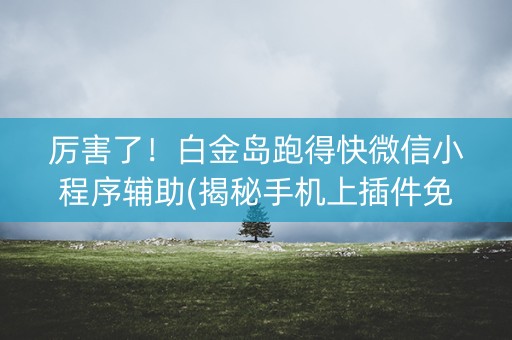 厉害了！白金岛跑得快微信小程序辅助(揭秘手机上插件免费)